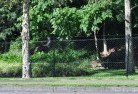 Lakes Creekmesh-fencing-10.jpg; ?>
